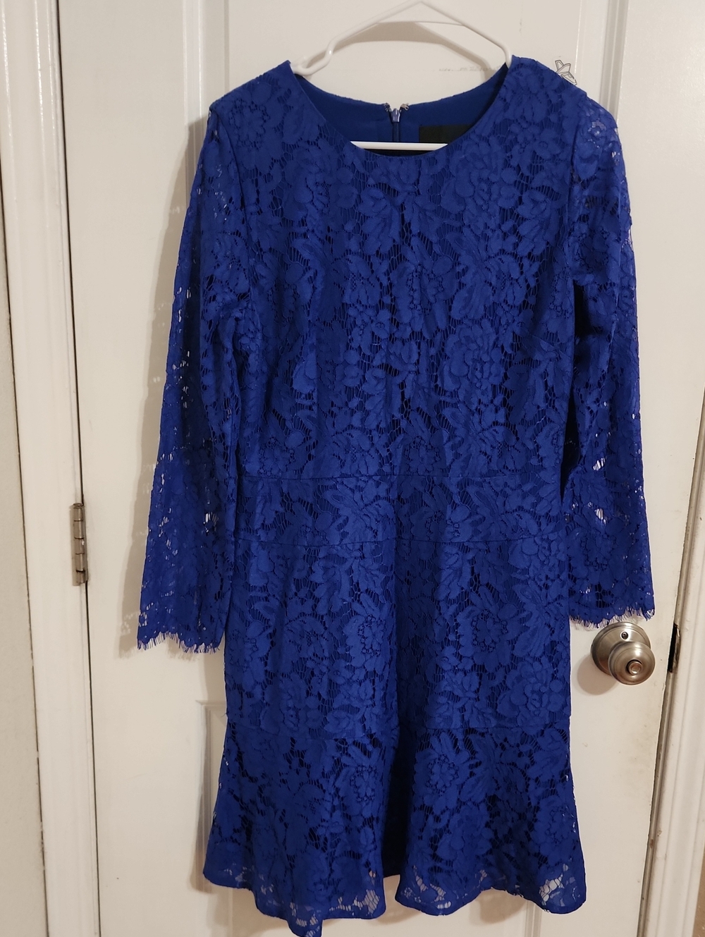 J. Crew Royal Blue Lace Long-Sleeve Mini Dress